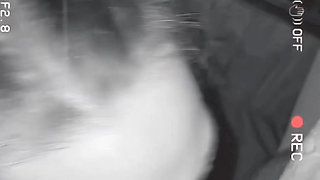 Blow job compilation