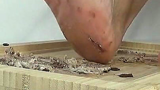 I Trample the Cottage Cheese with My Beautiful Feet