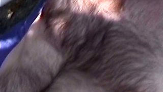 Hairy daddy has an extremely intense orgasm