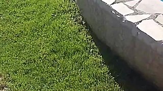 Outdoor in the Pool with Turkish Born Slut Jasmin Babe
