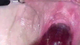 Sex Machine up Close