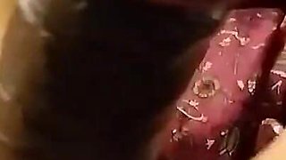Homemade Romantic Hot Video Sucking Cock