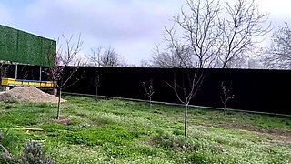 Masturbates from outdoor into house