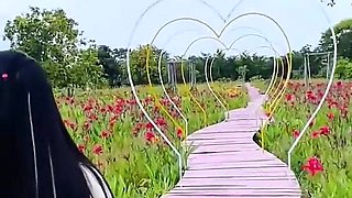 Walk with Me