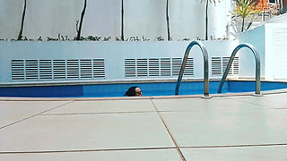 Relaxation by the Pool at Home