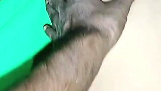 Viral Muslim Sex Indian Beautyfull Muslim Girl Hot Sexy Girl Video Indian Desi Fucking Sex Video