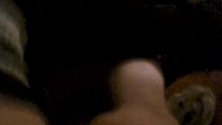 Wobbly dachshund camera little cringe for it fuck and freestyle