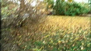 Teenenger Fucked in the Park and Squirted in Mouth