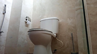 Various Toilet Scenes, Including Public Toilets