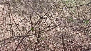 Desi Indian Girl Fucked Hard in Jungle - Big Ass Punishment Sex - DPDOSE