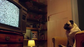 Spanish ride with Liz Rainbow