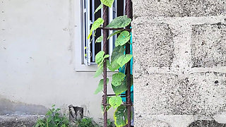 Horny Lovers Fuck Outside the Window