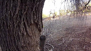 Arabian knight fucks a sexy slave rough