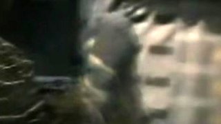 Cute brunette amateur blowjob