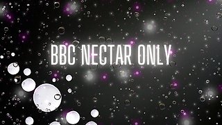 BBC Nectar Only