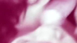Vintage porn retro erotic theatre - Robins nest