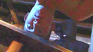 Fraternity Initiation Hazing (cum One, Cum All)