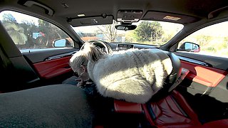 Car Footjob