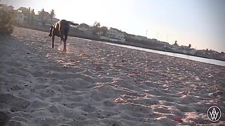 Busty Beach Blowjob