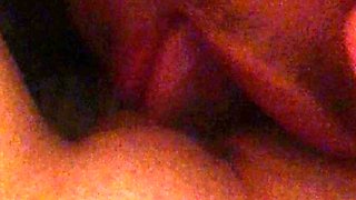 Glamour young amateur lesbos licking clit and fingering