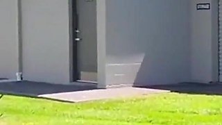 Dogging a Random Stranger in a Public Restroom