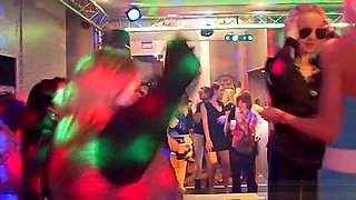 Rookie partybabes dancing and flashing