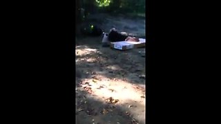 Gay exhibtionist flashing to homeless guy