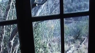 Horny German Guys Dominating Nasty African Babe
