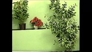 Amateur Performances in Common Houses