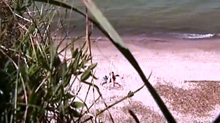 Stepsister and BF caught on the beach