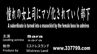A subordinate is turned into a masochist by the female boss he admires