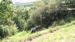 Young and sexy brunette in black stockings gets fucked in common places