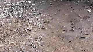 My Step Daughter Before Being Seduced