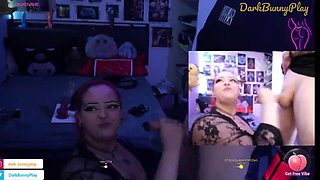 Bunny is Wild