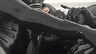 Good Morning, Full - Alex Latex