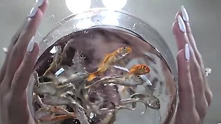 Demonic woman devours several innocent fish alive - Vore Fet
