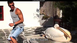 Florian Nemec And Julien Hussey And Kris Evans Part 4
