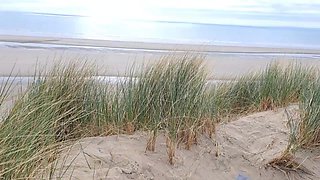 Sex on Nudist Beach