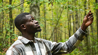 Sexy Slut With Glasses Enjoys Riding a Big Black Cock