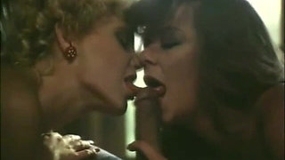 Classic Porn Dvds: Hot Chicks: Part 4