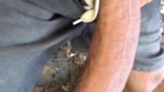 Big cock flash