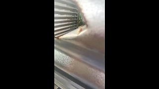 Amateur Latina Outdoor Fuck - Big Ass Roccoluton & Esperanzitaluton in Uncensored Voyeur HD