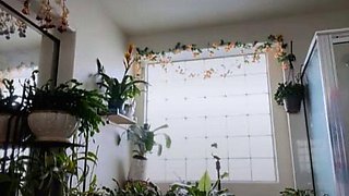 Big Boobed Blonde Masturbates With A Dildo In The Bathroom