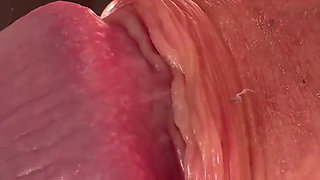 Macro Wet Foreskin Dick