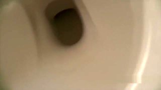 Toilet Bowl Slave