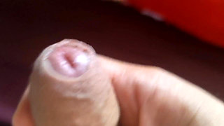 Sounding Strong the Foreskin Between the Trembling Glans.