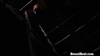 Fantastic bird's young (18+) video