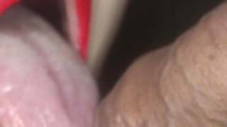 Sensual Closeup Blowjob