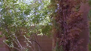 Three sexy nuns in their uniforms gets fucked by a lucky guy
