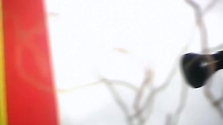 Silva Saint interracial vintage sex